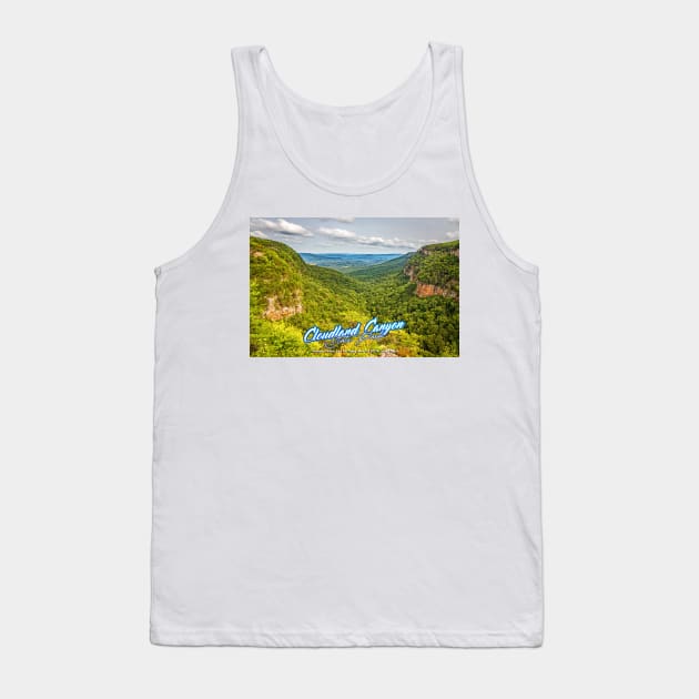 Cloudland Canyon State Park Tank Top by Gestalt Imagery